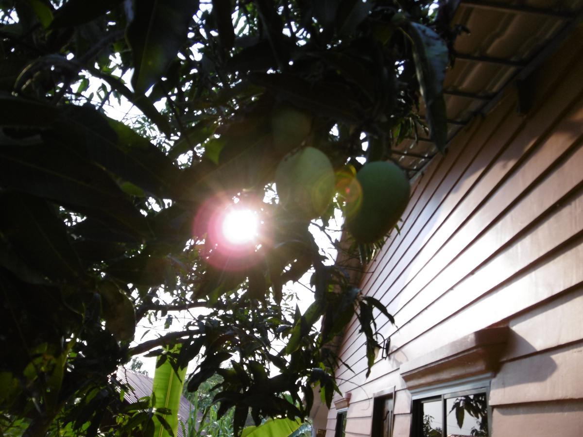 Andre Boutique Villa Siem Reap Exterior photo